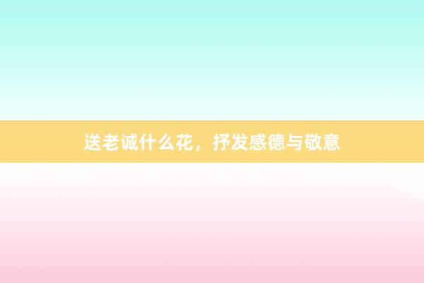 送老诚什么花，抒发感德与敬意