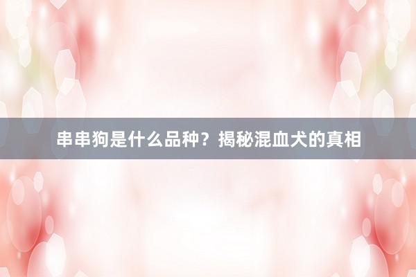 串串狗是什么品种？揭秘混血犬的真相